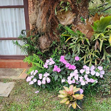 Sitio Mae Terra Hotel Afonso  Luaran gambar