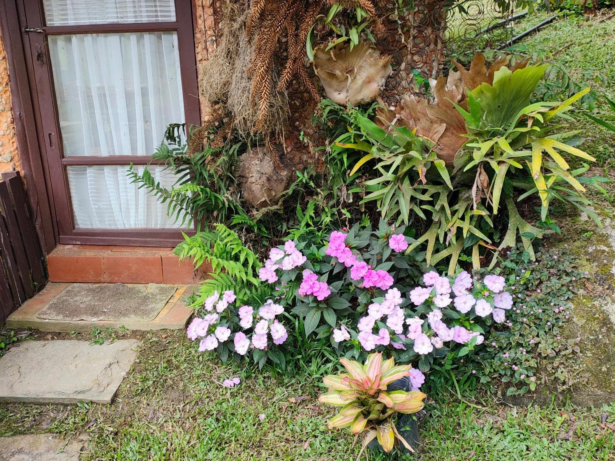 Sitio Mae Terra Hotel Afonso  Luaran gambar